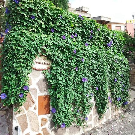 B&B Nonna Luisa タルクイーニア エクステリア 写真